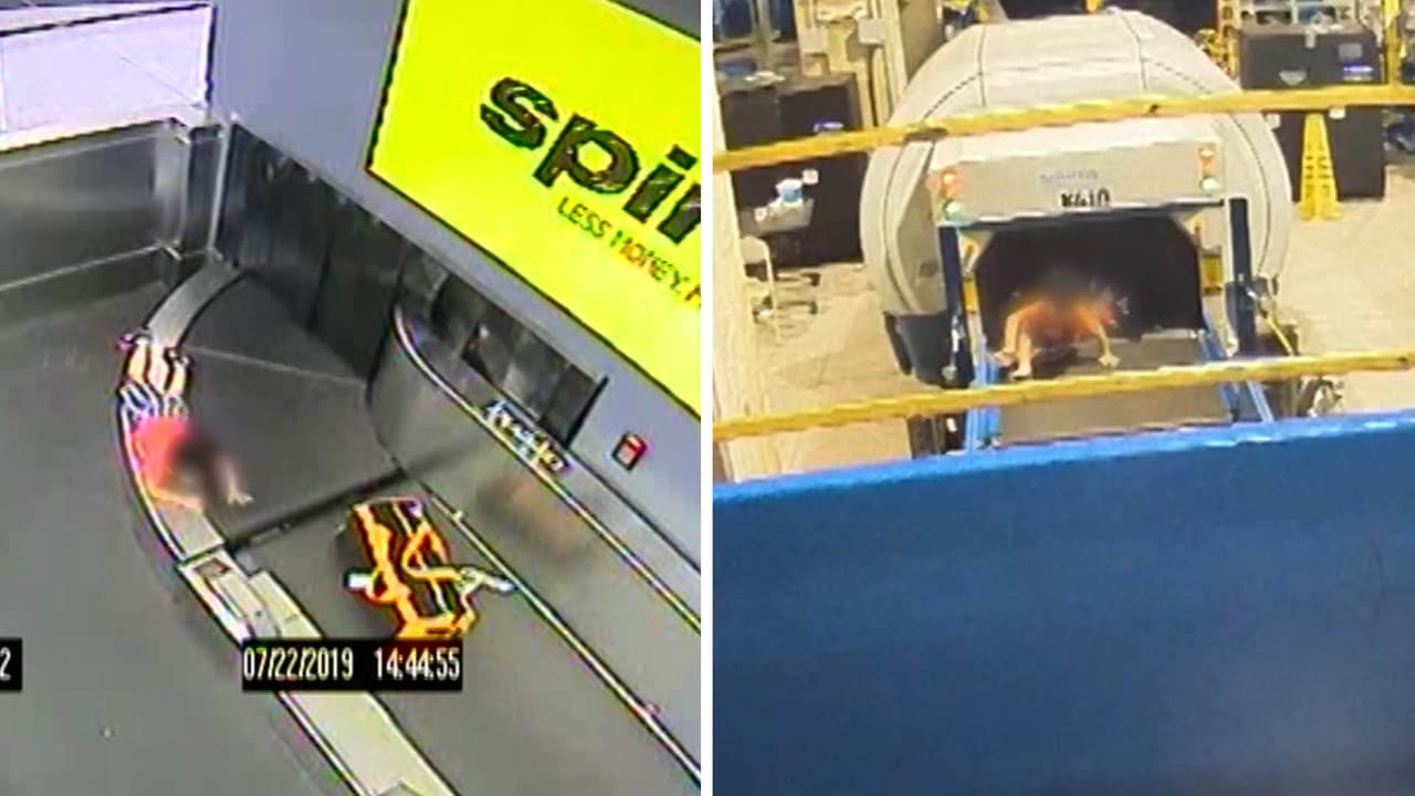 Un niño de origen hispano resultó lesionado luego de caer por la banda transportadora de equipaje de una aerolínea en el
<a href="https://www.atl.com/" target="_blank">aeropuerto internacional Hartsfield-Jackson de Atlanta </a>esta semana.