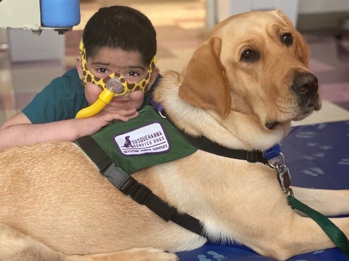 Si bien los pacientes y las familias de CHOP ya están familiarizados con los voluntarios del hospital y sus perros de terapia registrados como parte del Programa de Terapia con Mascotas Gerald B. Shreiber,
<b>el papel de Dilly será diferente</b>. Trabajará con un miembro del personal de CHOP, centrándose en visitas orientadas a objetivos en lugar de visitas orientadas a lo social que los voluntarios y sus perros de terapia registrados están acostumbrados a brindar.
