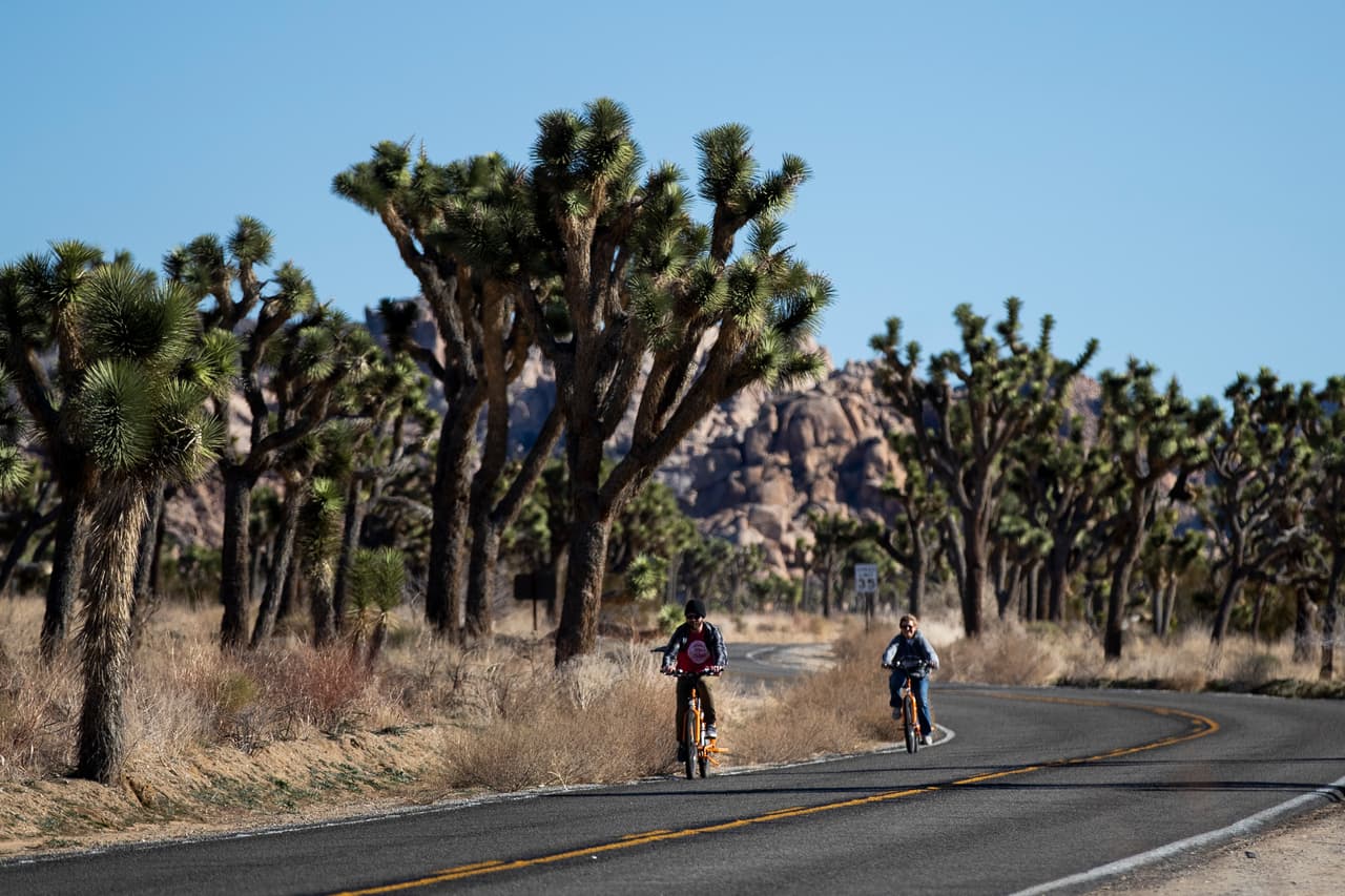 Zonas de acampada, áreas de picnic y una carretera del Parque Joshua Tree habían sido cerradas después de los actos de vandalismo. En la fotografía dos ciclistas de paseo por una vía del parque abierta al público el 10 de enero de 2018.