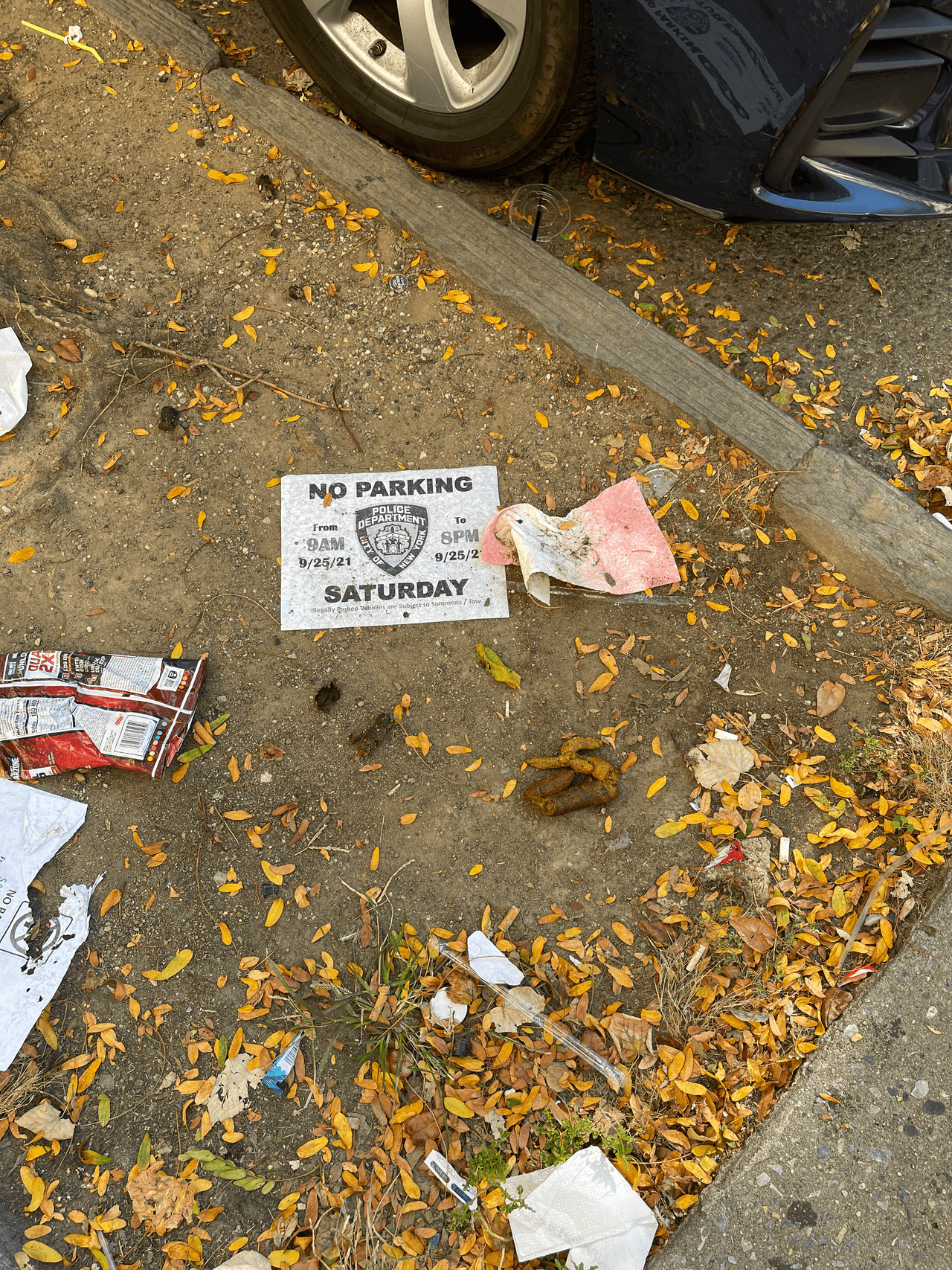 <b>Si tu basura no se ha recogido antes de las 8 de la mañana del día siguiente al de su servicio, puedes presentar una queja aquí: <a href="https://on.nyc.gov/2Mvwu1H">https://on.nyc.gov/2Mvwu1H</a> o ponerte en contacto con @nyc311 y ellos la presentarán por ti.</b>