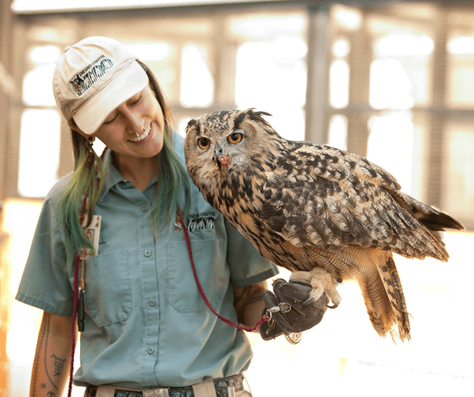 El zoológico de Fresno Chaffee está 
<b>abierto todos los días</b> y recomiendan el comprar los boletos de admisión con anticipación.