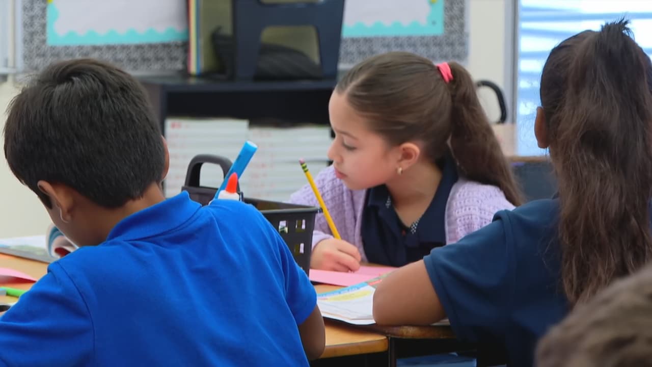 Lanzan programa en Miami-Dade donde estudiantes pueden ejercer como maestros antes de graduarse