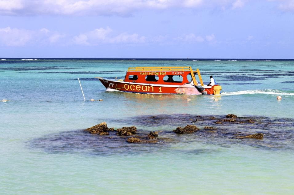 An article in the journal Nature, by 39 scientists from 34 universities and ecological conservation groups around the world, revealed the results of a study of more than 6,000 reefs in 46 countries. The study found that some reefs fared better than expected despite the effects of tourism. This is a glass-bottom boat on Buccoo Tobago reef.