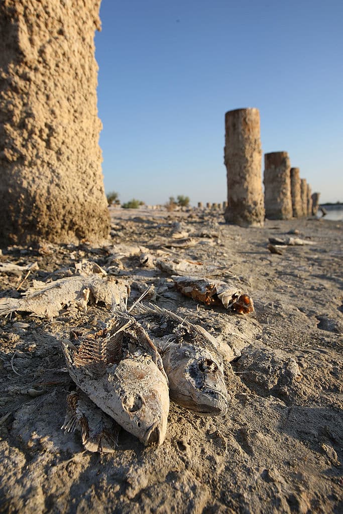 El lago una vez fue un destino turístico, pero ha sufrido una serie de problemas ambientales que han cambiado el hábitat de los peces y las aves que dependían de sus aguas (foto de archivo 2011).