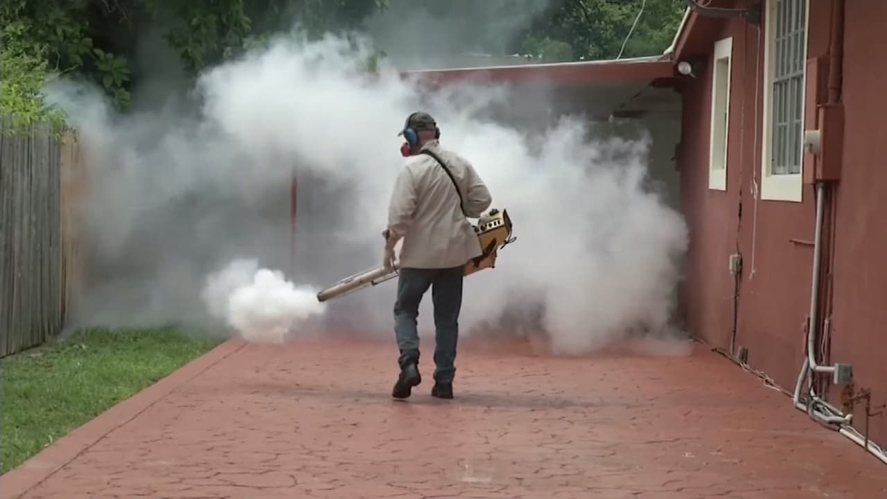 Difícil la lucha contra el mosquito que transmite el zika en Miami
