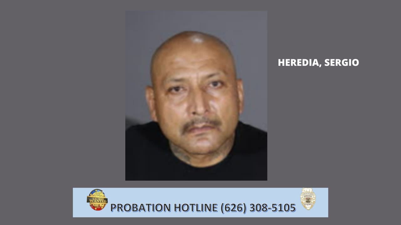 <b>Sergio Heredia</b> es un pandillero documentado y tiene un extenso historial criminal. Sus condenas incluyen conspiración criminal, posesión de armas peligrosas, poseer sustancias narcóticas controladas para la venta, identificación falsa para el oficial de paz, robo, posesión de marihuana para la venta, posesión prohibida de municiones y contrabando de sustancias controladas en prisión. Ha cumplido múltiples condenas en prisión estatal, siendo la más larga una condena de 9 años por posesión de marihuana para la venta. Heredia fue liberado de la prisión estatal a la supervisión del Departamento de Libertad Condicional del Condado de Los Ángeles el 21 de febrero de 2020.
<br>
<br>
<b>Marcas/características distintivas</b>: Tatuajes en cuello, pecho, abdomen, ambos brazos, hombro y espalda.
<br>Pandilla: VARRIO KEYSTONE
<br>Fue visto por última vez en el área de South Bay.