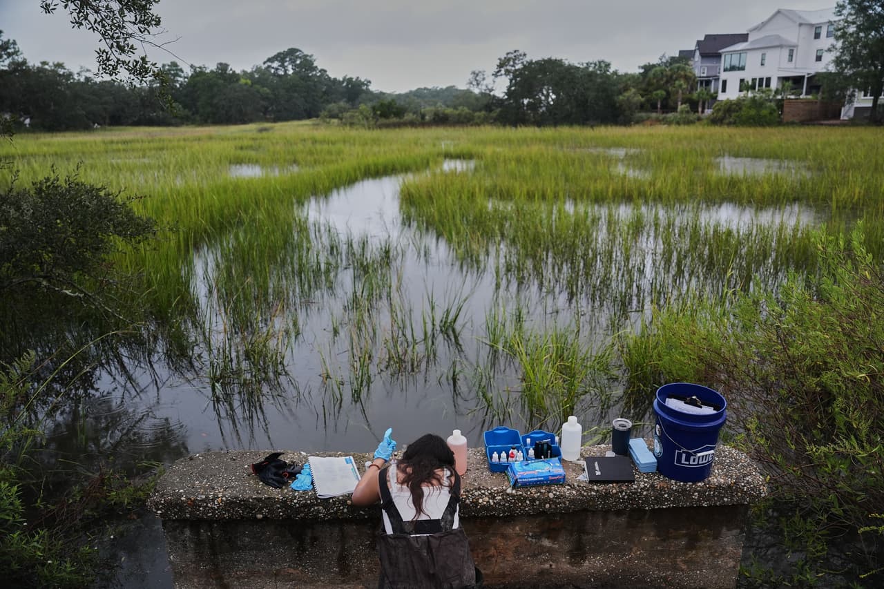 <b>7. Charleston, Carolina del Sur</b>
<br>
<br>Tiene 159,423 habitantes y bonitas historias de solidaridad. De hecho, tiene un concurso local que premia cada año al mejor activista. Este año se lo llevó una asociación en defensa de los animales.