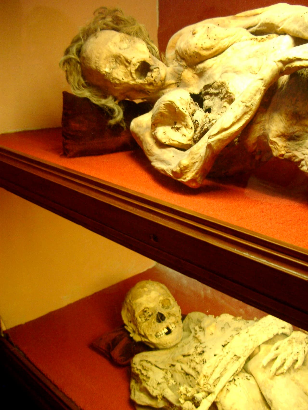 Las momias se han convertido en un sello de la identidad de la ciudad y su exhibición ha causado polémica. Para algunos investigadores, las momias son una fuente de conocimiento, vestigios materiales de sociedades antepasadas. Otros académicos han criticado la “mercantilización y el morbo” de los restos momificados, y han propuesto que se les inhume por respeto.
<br>