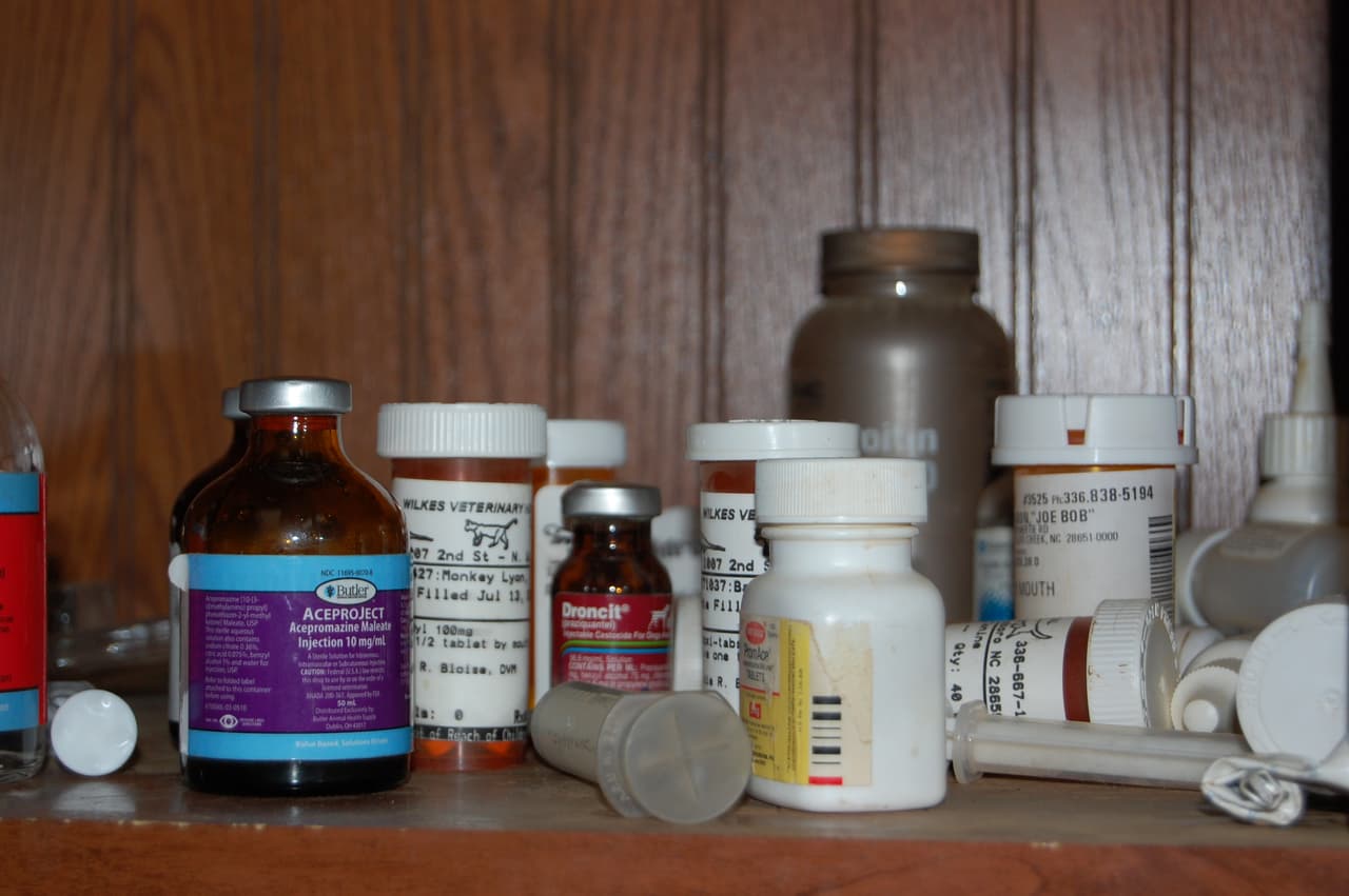 Además, les alimentan con una dieta especial y regularmente les dan suplementos y vitaminas. Los más comunes son esteroides, antibióticos y suplementos de hierro que se venden en el mercado.