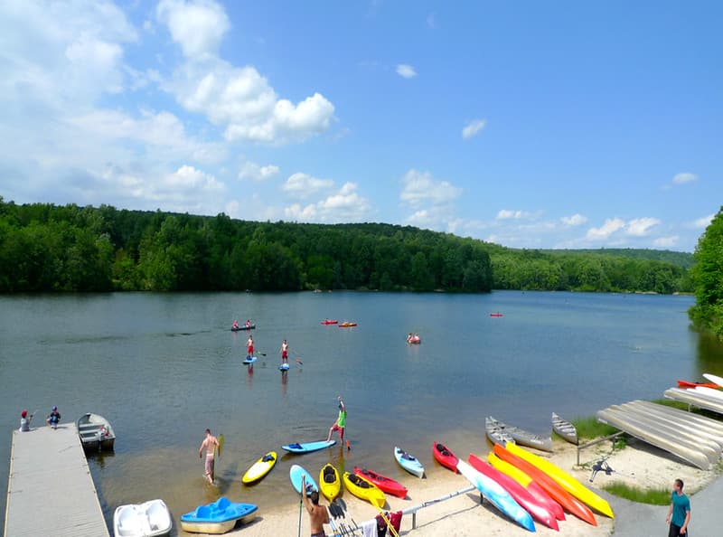 Esos mismos hábitats son el hogar de muchos animales y plantas que son raros en este rincón de la comunidad. French Creek State Park es un área 
<a href="http://www.audubon.org/important-bird-areas/state/pennsylvania" target="_blank">importante para las avesSe abre en una nueva ventana</a>según lo designado por la Sociedad Nacional Audubon, y un 
<a href="http://www.pgc.pa.gov/Wildlife/HabitatManagement/Pages/ImportantMammalAreas.aspx" target="_blank">Área de Mamíferos Importante</a> según lo designado por la Comisión de Juego de Pennsylvania. Pine Swamp es un 
<a href="https://www.dcnr.pa.gov/Recreation/WhereToGo/NaturalAreas" target="_blank">área natural del parque estatal</a> .