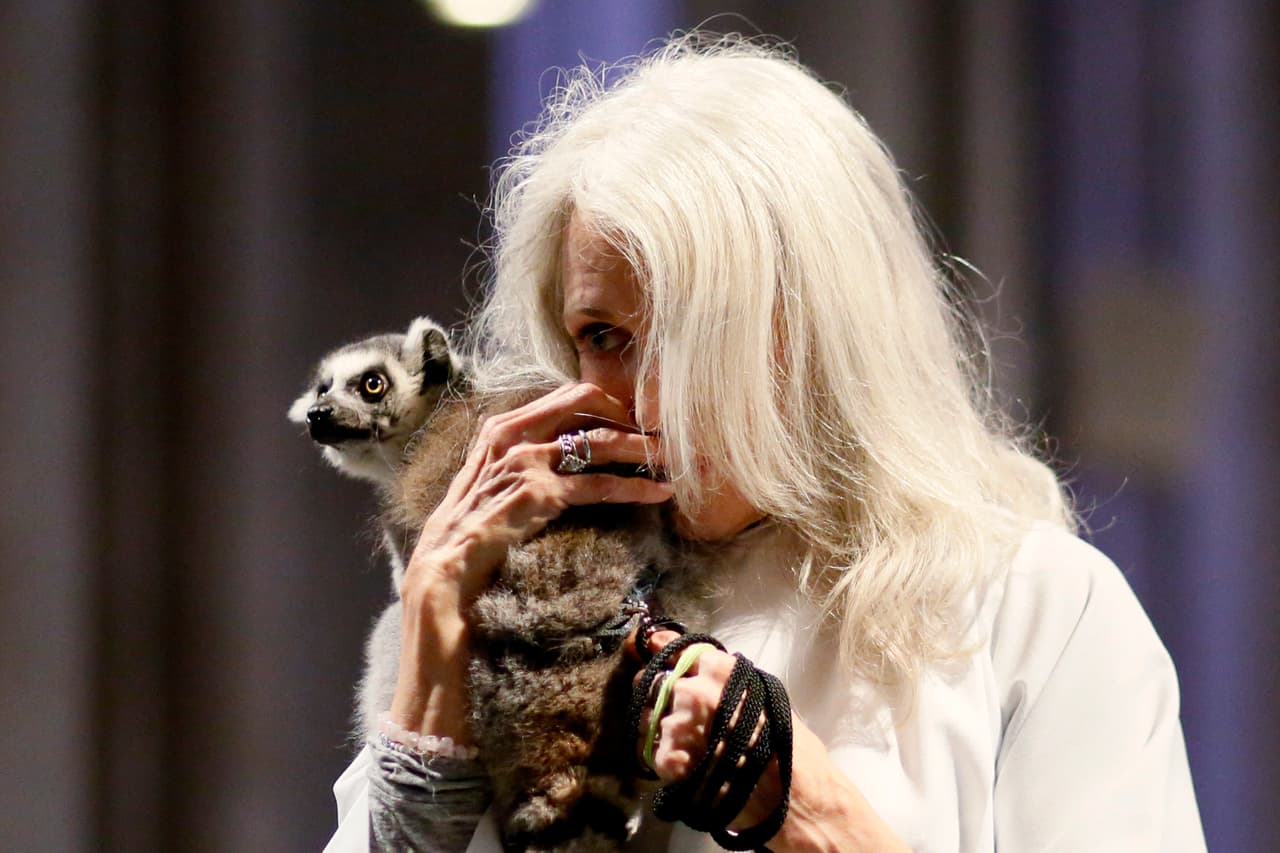 Los dueños de mascotas poco frecuentes participaron de esta tradición.