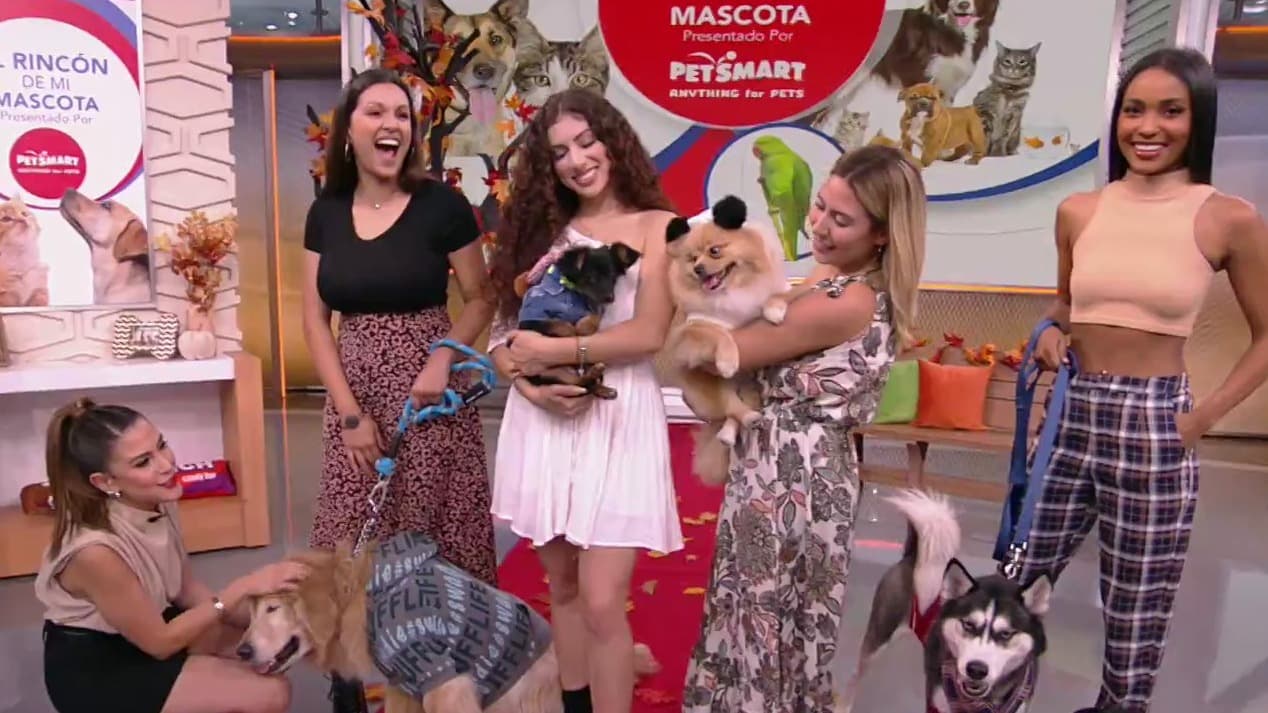 "Al último ladrido de la moda": Jessi quedó fascinada por los accesorios de PetSmart para las mascotas