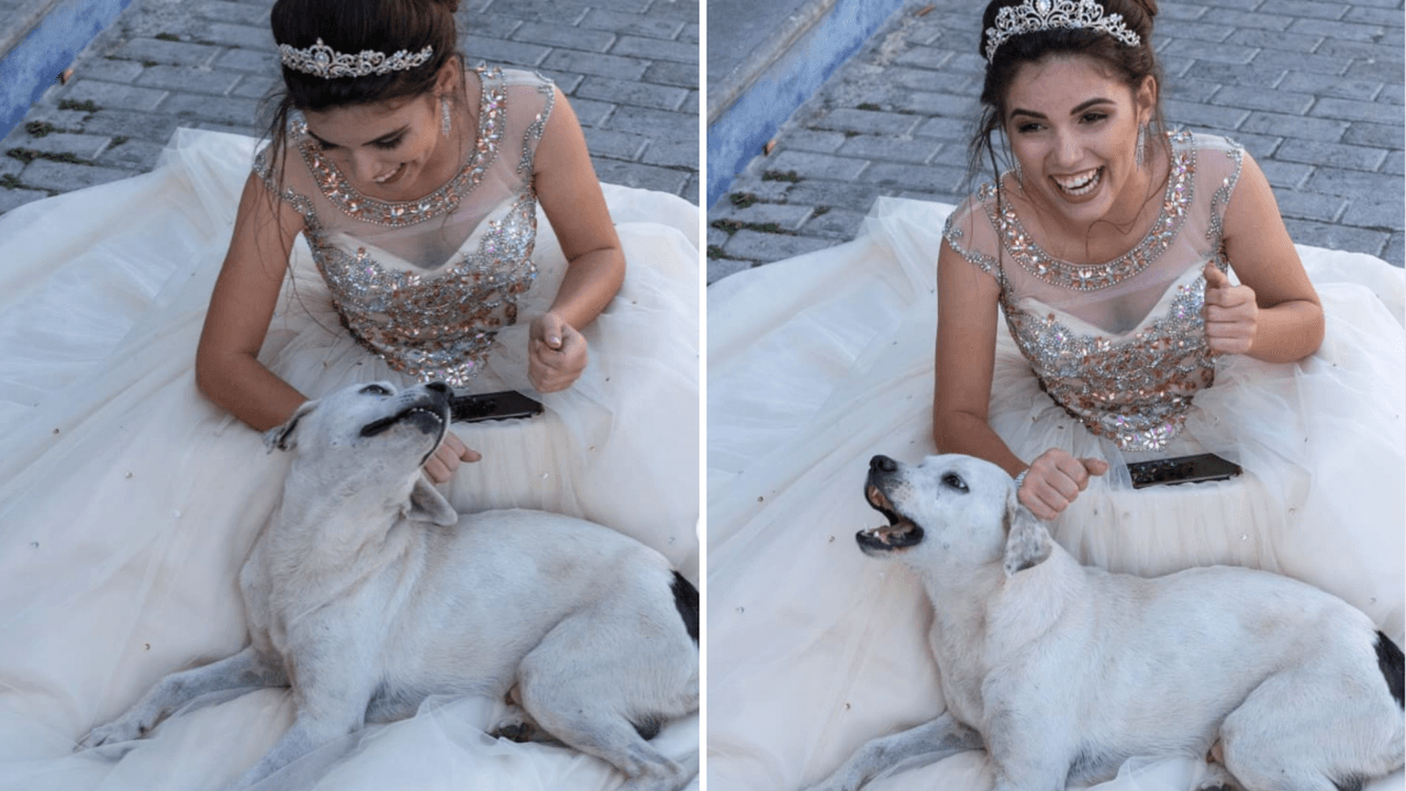 La sesión de fotos de esta quinceañera se hizo viral por la interrumpción de un perrito.