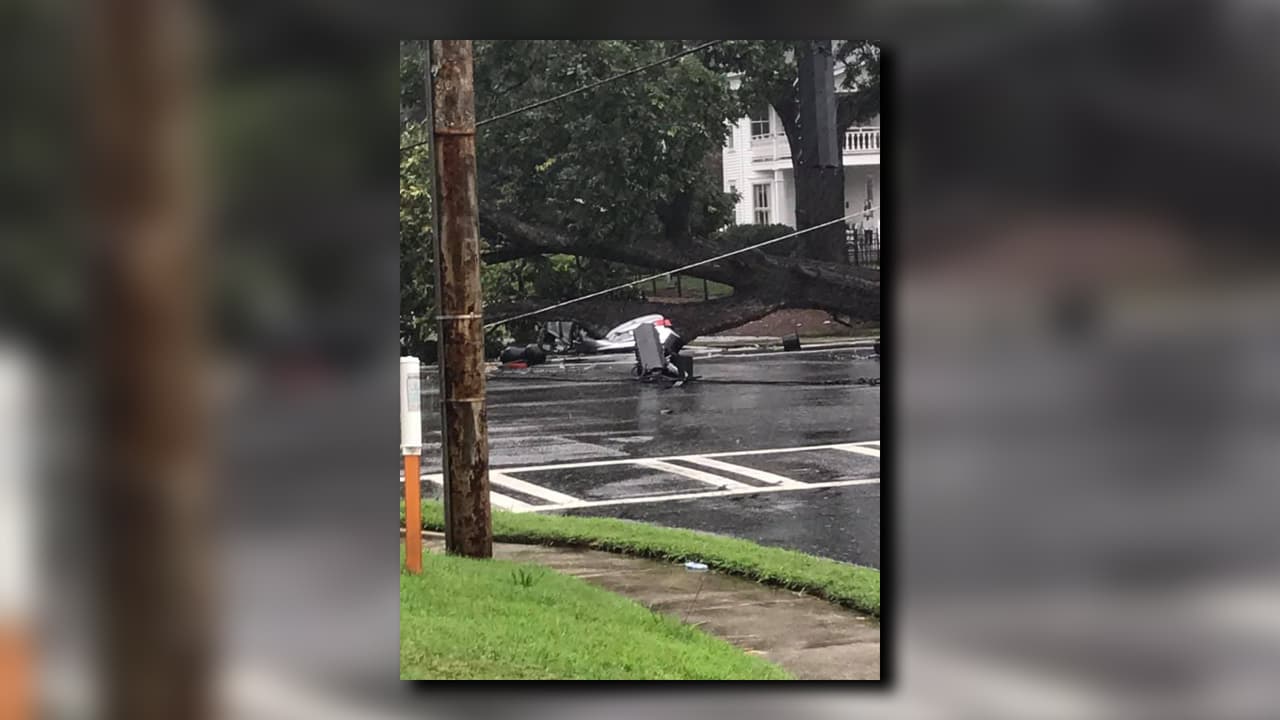 Un enorme árbol cayó sobre dos vehículos en la intersección de Mt Vernon Rd y Chamblee Dunwoody Rd. Hay cables caídos, no hubo heridos.