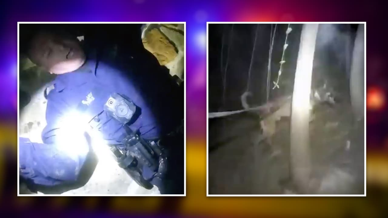 Figor, el perro policía que sobrevivió tras resultar herido en el pecho en un tiroteo en Texas