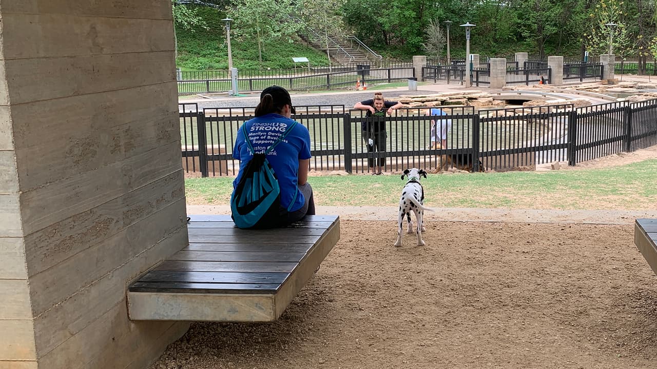 Mientras estos residentes de Houston conversan las ultimas noticias del coronavirus, sus perros se divierten.