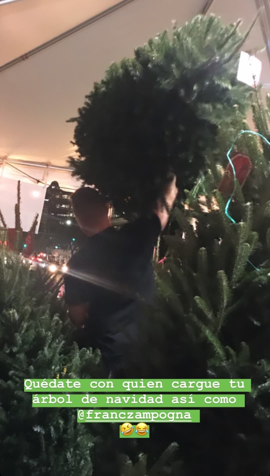 En el proceso, Francisca se quedó sorprendida al ver a su prometido cargando las pieza principal de la decoración con una sola mano.