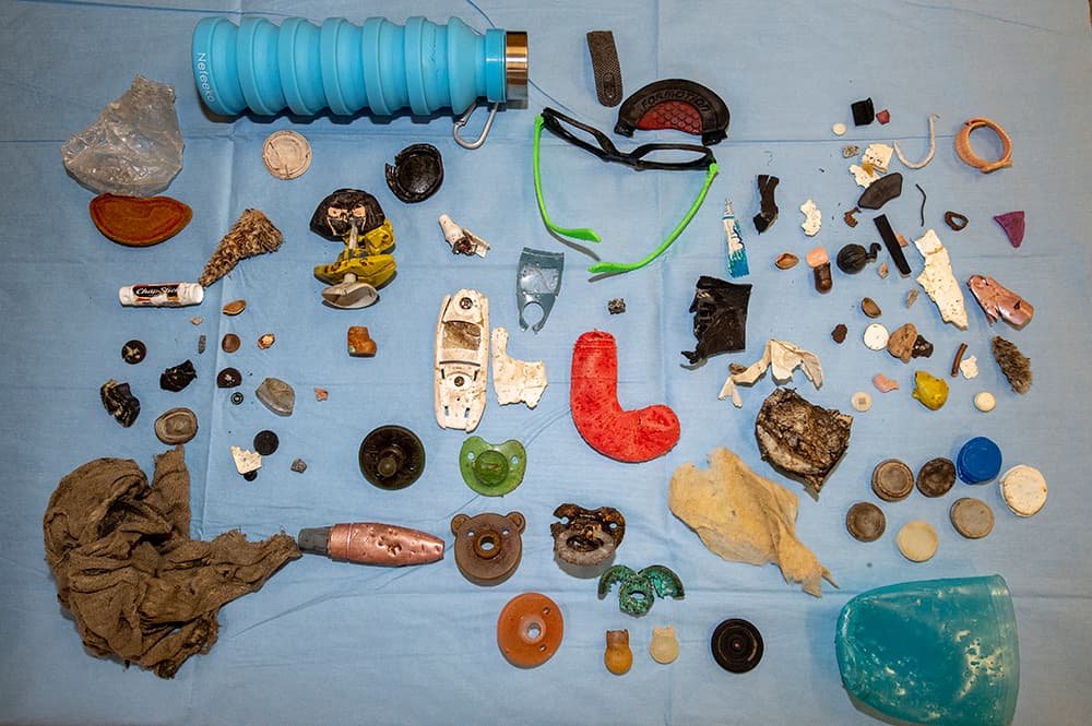 Y en esta fotografía que envió el zoológico se pueden ver diversos objetos, incluido el termo, que han tenido que extraer a varios animales.