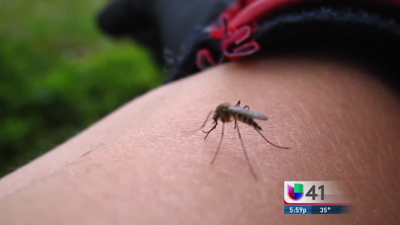 Confirman primer caso de Zika en New Jersey