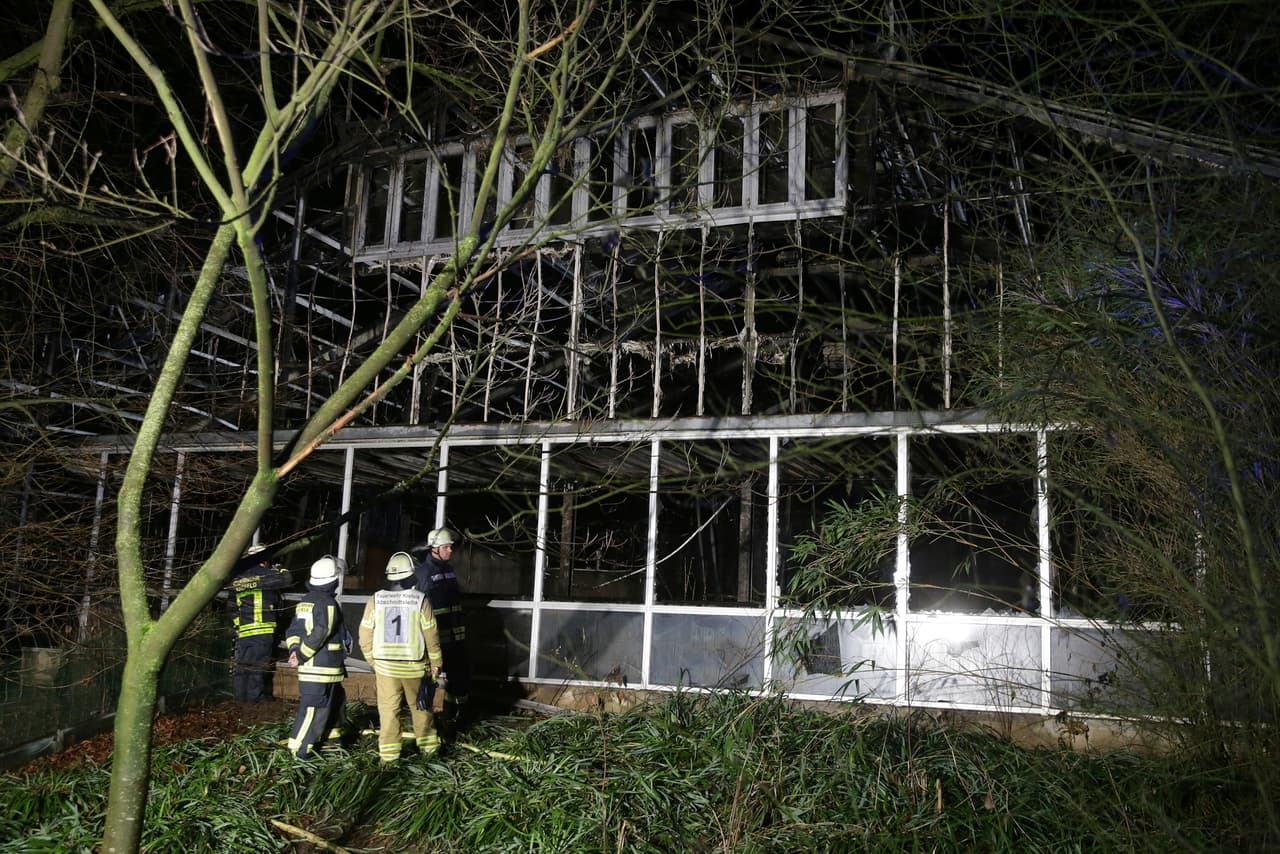 Bomberos están parados frente al albergue de monos calcinado en el zoológico Krefeld en Krefeld, Alemania, el miércoles 1 de enero de 2020. (David Young/dpa via AP)