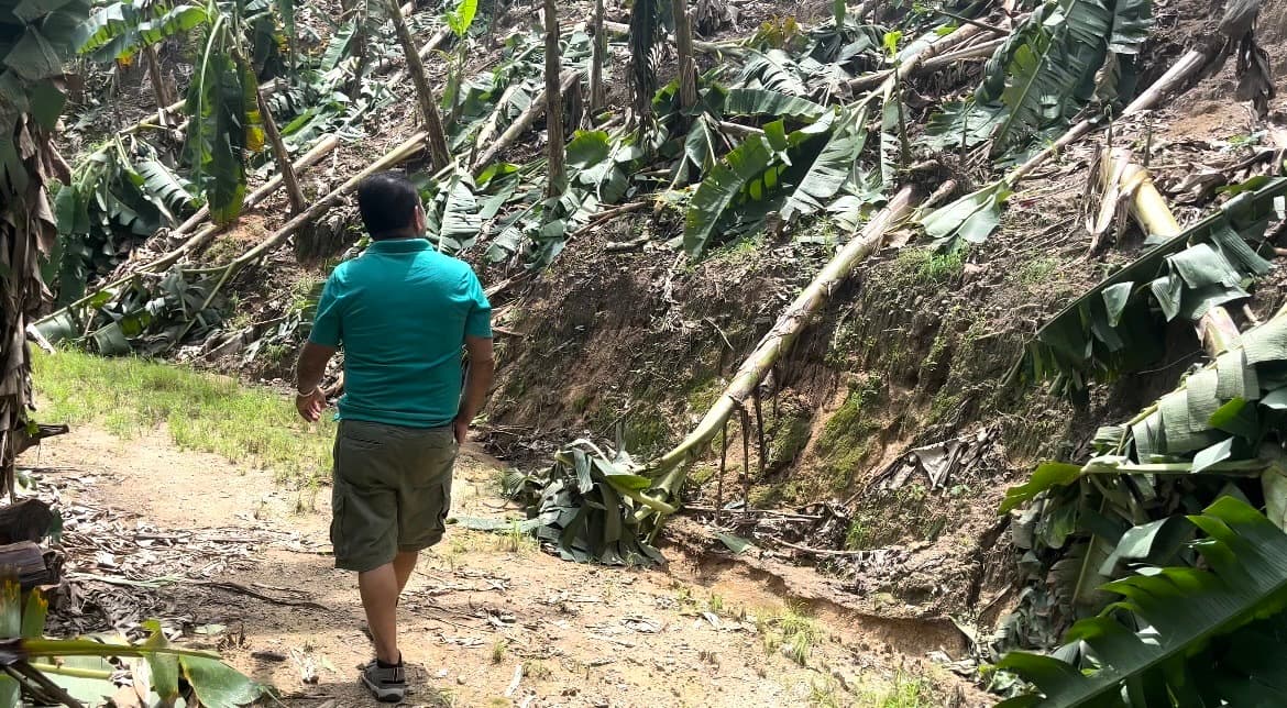 Vicente Ríos camina por su finca en las montañas de Utuado, Puerto Rico.
