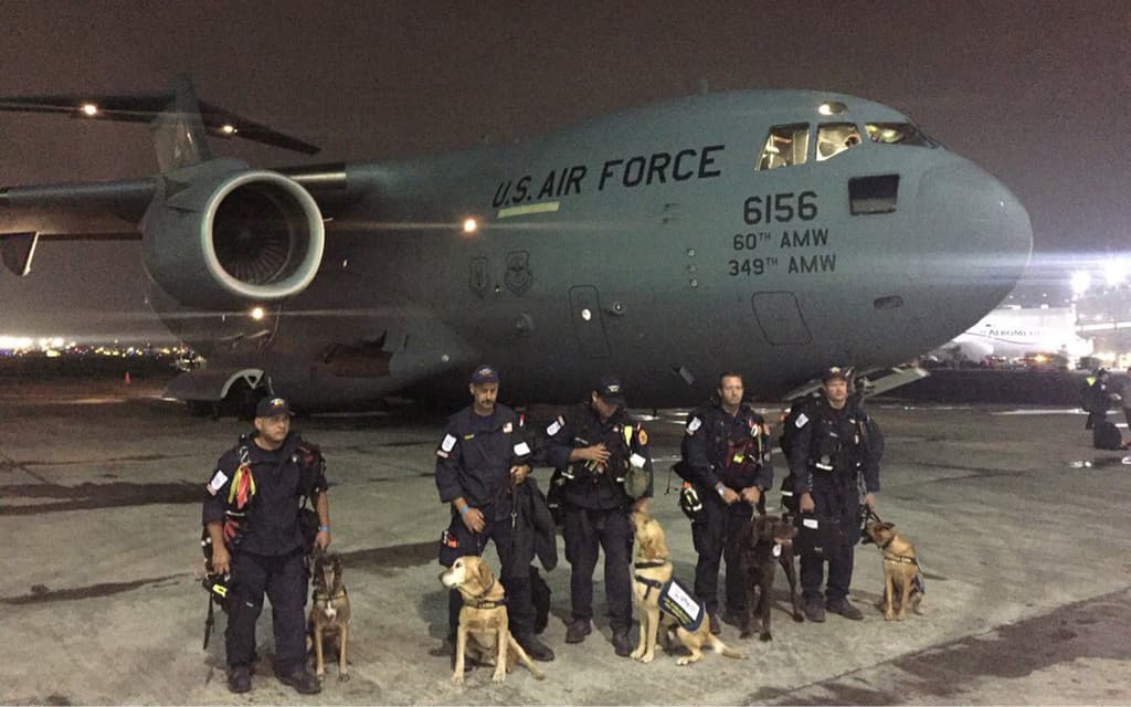 Perros rescatistas de Los Ángeles viajan a Puerto Rico para ayudar a las víctimas del huracán María