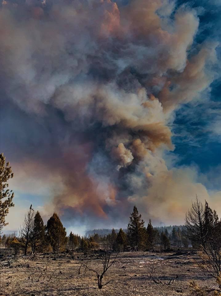 <a href="https://www.fs.usda.gov/modoc/" target="_blank">Bosque Nacional Modoc</a>: Este bosque fue afectado por el 
<a href="https://inciweb.nwcg.gov/incident/article/6881/52764/" target="_blank">complejo de incendios July</a>, que consumió 48,088 acres.