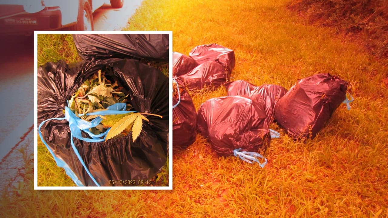 Alguacil "pide ayuda para encontrar" a la persona que olvidó varias bolsas con plantas de marihuana en Texas