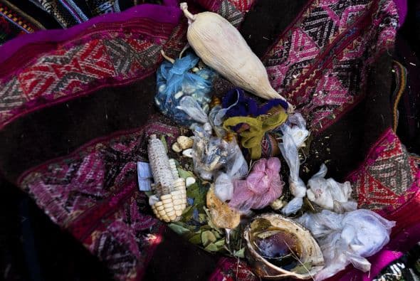 El cóndor es conducido ceremoniosamente al pueblo, pues es un animal sagrado.