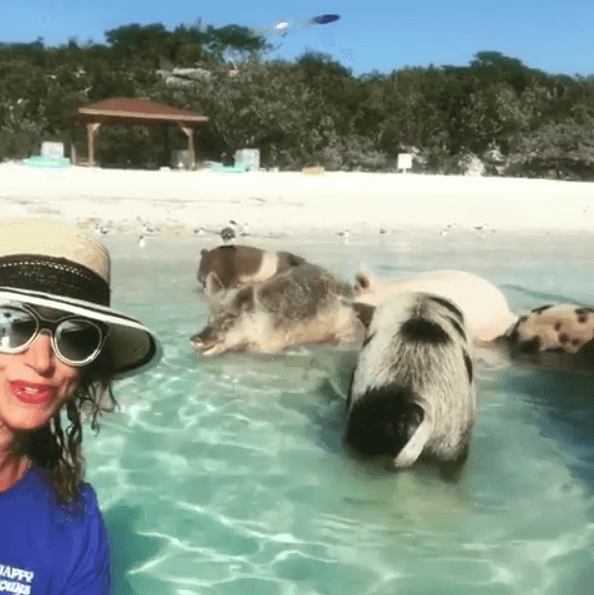 En este lugar, Lili encontró auténticos cerditos salvajes que conviven libremente con quienes se acercan al lugar.