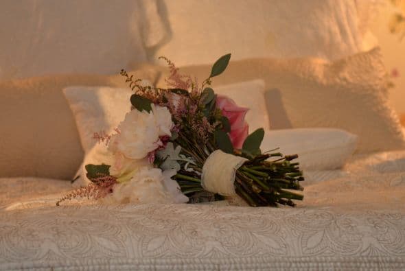 Vanessa de Roide vestido