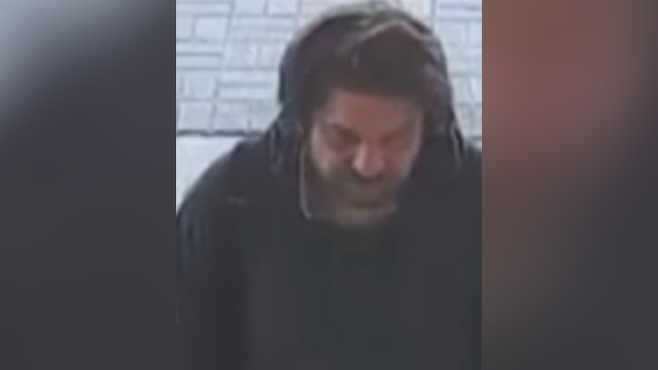 Buscan a un hombre que llenó de excremento paredes de una tienda en Radnor