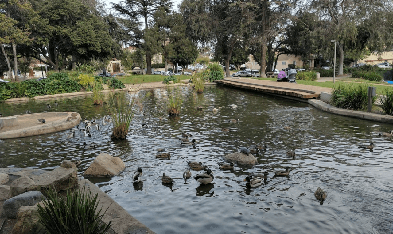 <b>7. Douglas Park</b>
<br>Douglas Park en Santa Mónica ofrece 3 hermosas fuentes reflectantes en las que se puede avistar tortugas y patos, área de juegos, zona con césped y plataforma de patinaje para niños.
<br>
<br>Dirección: 2439 Wilshire Boulevard, Santa Monica, CA 90403