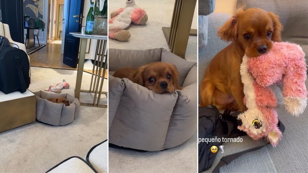 Chichí llegó a la familia de Nodal durante su gira por Europa.