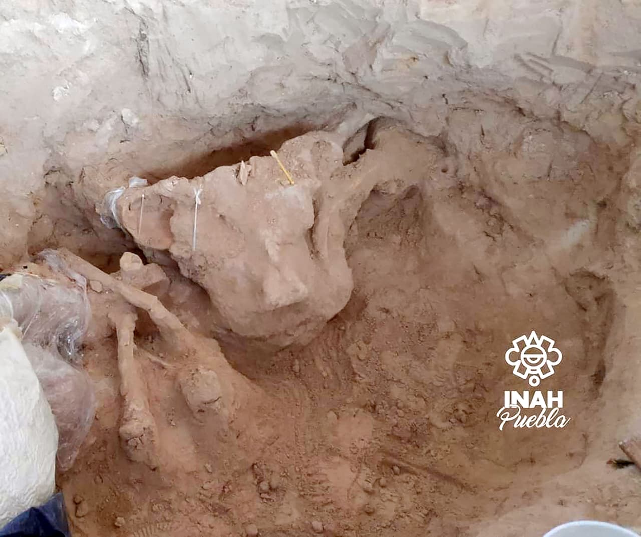 “Para evitar el deterioro del hueso, el cráneo se sacó inmerso en un cuadro de sedimento endurecido y será cuidadosamente limpiado en laboratorio para su posterior análisis”, explicó el INAH sobre el hallazgo.
