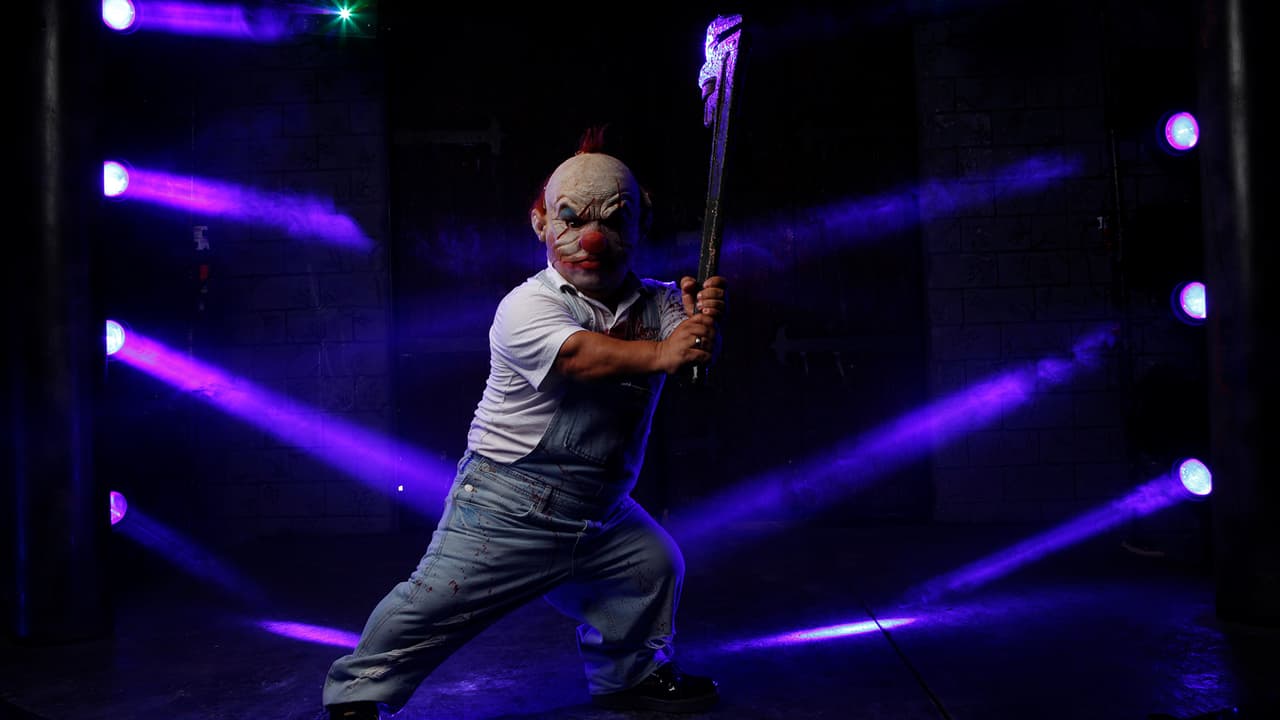 La compañía artística se rige por la política de no usar animales en sus espectáculos lo que los caracteriza desde sus inicios.