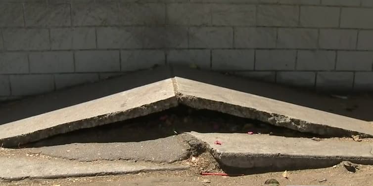 Los Ángeles aprobó un plan para reparar las aceras dañadas.