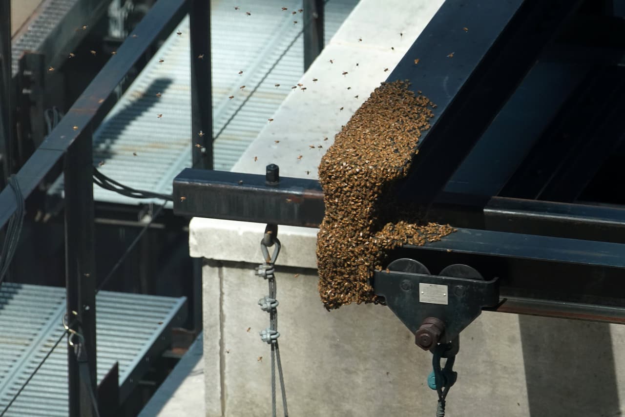 Lentamente fueron revistiendo el metal del edificio residencial ubicado en el corazón de la ciudad de Nueva York. (Lucas Jackson/Reuters)
