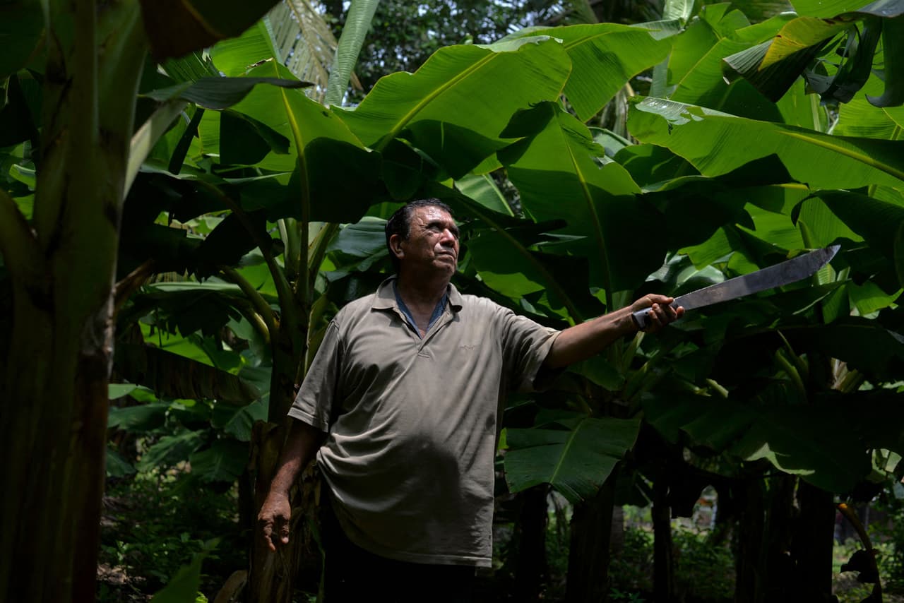 <b>Trabajar con un pesticida en campos de banana los dejó enfermos y estériles. </b>Décadas después, cientos de 
<a href="https://www.univision.com/noticias/america-latina/demanda-nicaraguenses-pesticidas-paris-nemagon-fumazona">campesinos nicaragüenses aún buscan que las empresas responsables paguen por los daños</a>. Pero esa posibilidad quedó diluida esta semana tras el rechazo de una demanda por la justicia francesa.
<br>
<br>