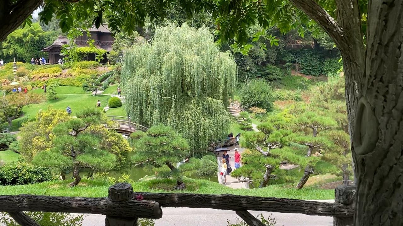 En la lista encontrarán museos, senderos y hasta parques públicos en los que podrás disfrutar de la temporada más hermosa del año con tu familia o amigos.