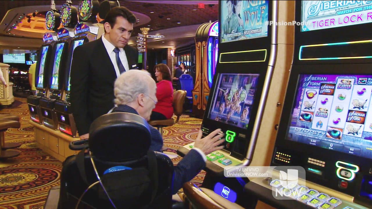 No cabe duda que estás haciendo muy feliz a don Humberto, Arturo.