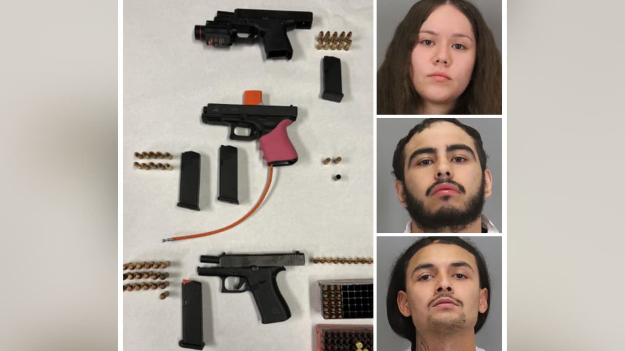 Arrestados tres sospechosos de robo a mano armada de un bulldog francés en San José