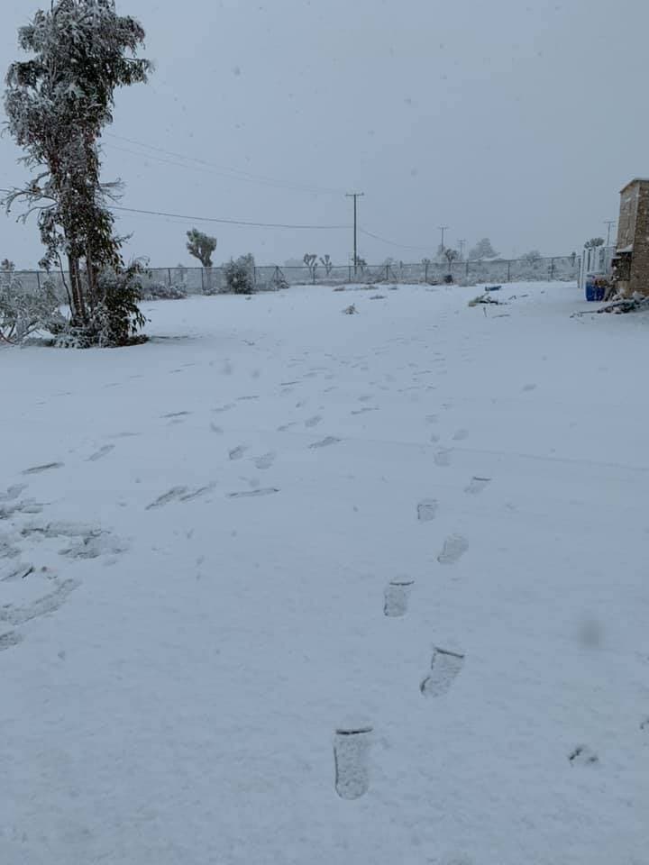 "Saludos desde Littlerock, Valle del Antílope", escribió Luvia Abedoy.