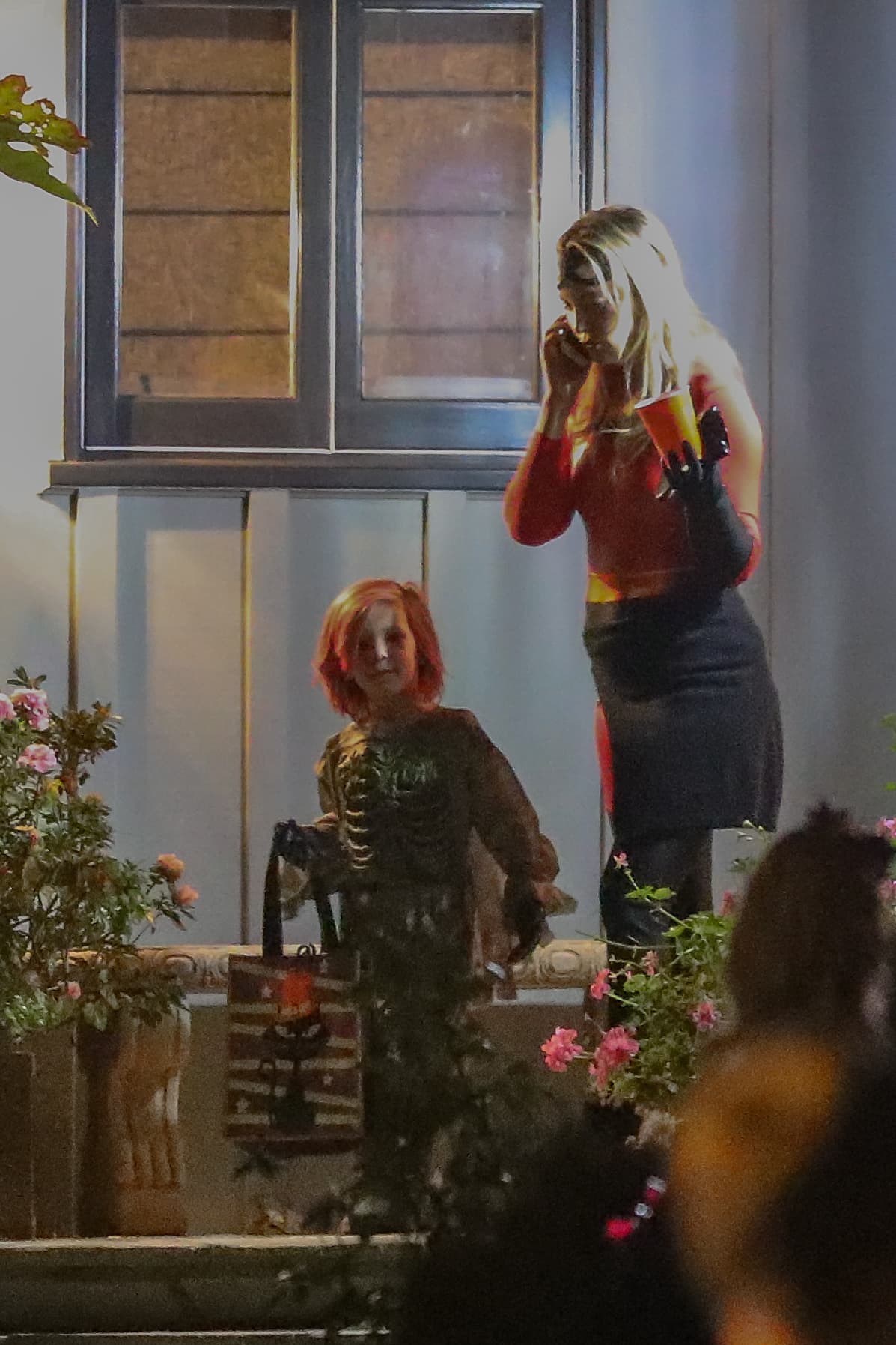 Aquí podemos ver al pequeño Bingham.