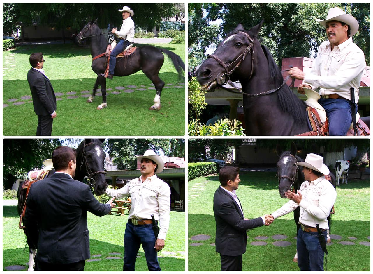¡Quién lo hubiera imaginado! Santiago te ofreció su ayuda para recuperar la empresa.