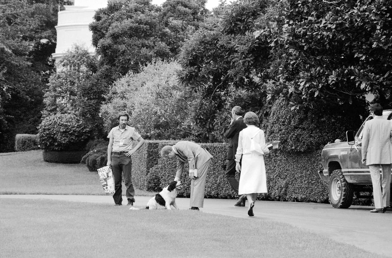 Jimmy carter, sucesor de Ford, con su perro mestizo llamado 'Grits'. Tuvo en total dos perros.