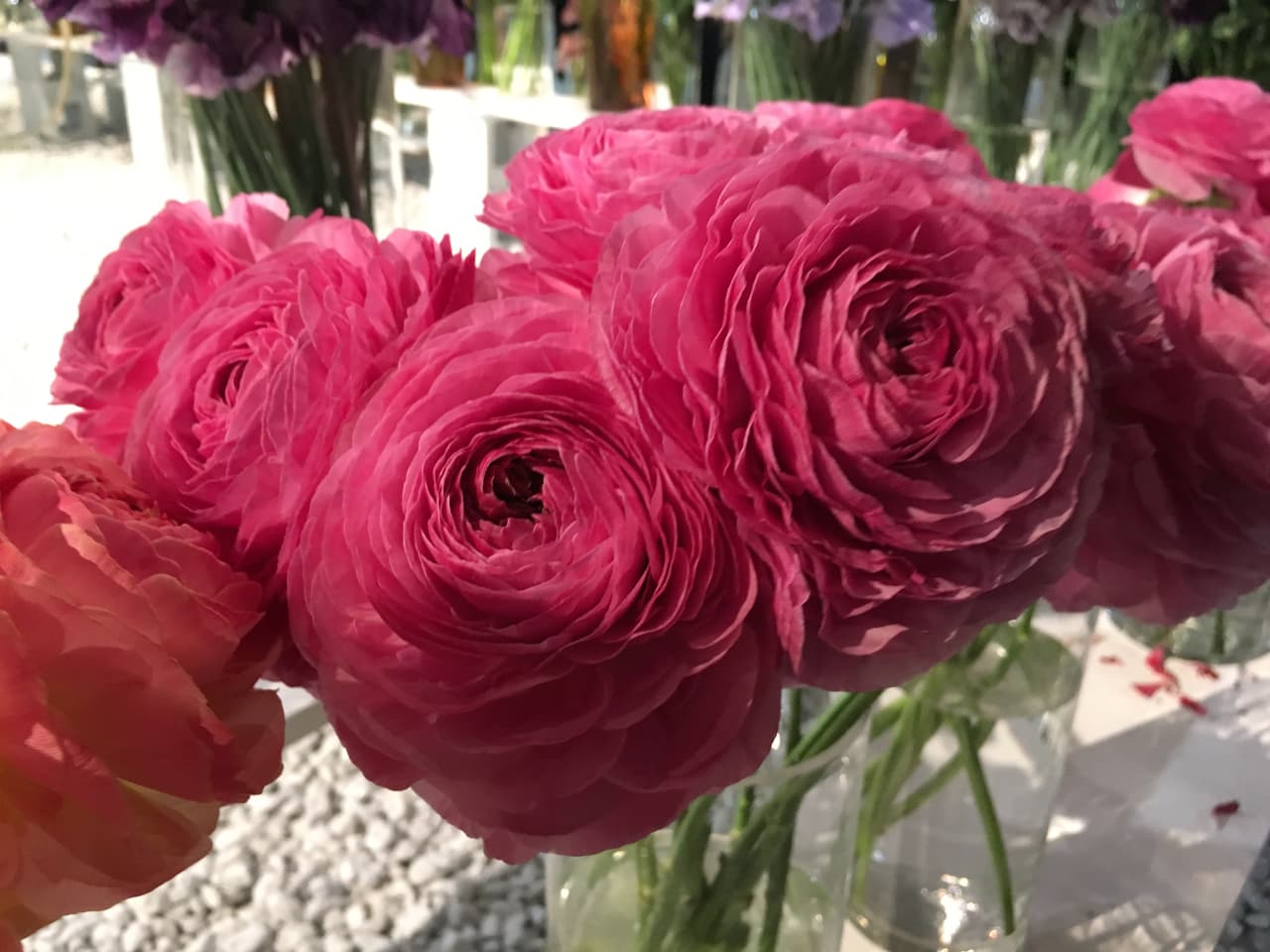 ¡Gracias por tanto, Mamá! 
<br>