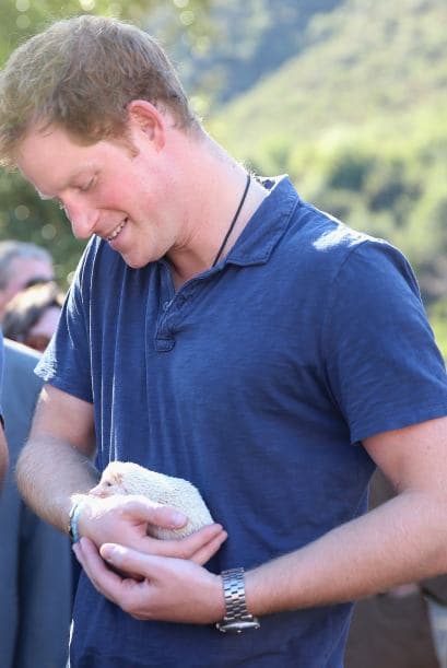 A 120 kilómetros de Santiago, arrasados por un incendio en abril pasado.