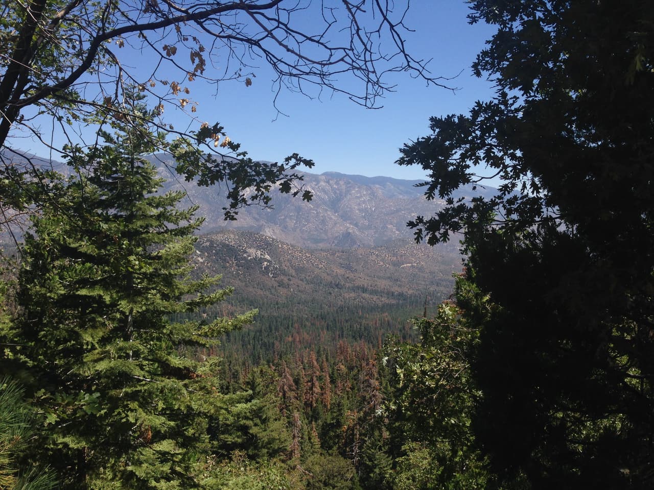 Panorámica del Bosque Nacional Sequoia.