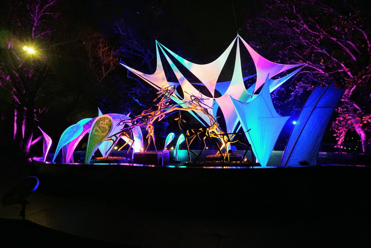 The Dreamery: ¡una especie de deseo donde los invitados están invitados a dejar volar su imaginación mientras piensan en sus sueños y en los de los animales del zoológico! Con un movimiento de la mano, surgirán burbujas, luces y vapor que prometen que sus deseos sean enviado a la noche.